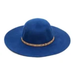 Elegant wool felt floppy hat with wide brim – women’s chic autumn fashion accessory