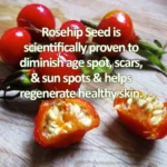 Rosehip seeds rich in antioxidants and Vitamin A – key ingredient for natural skin renewal and brightening. Organic rosehip seeds symbolizing natural source of Vitamin A used in age-defying skincare formulas.