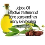 Organic chocolate cherry face mask in a skincare jar shown with jojoba oil, antioxidant-rich clean beauty treatment designed to hydrate, nourish, and brighten skin for a radiant at-home spa experience.